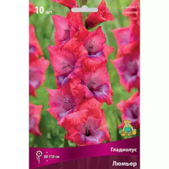 Гладиолус крупноцветковый Люмьер (10шт)
