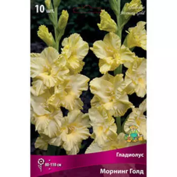 Гладиолус крупноцветковый Морнинг Голд (10 шт.)
