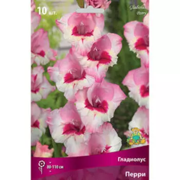 Гладиолус крупноцветковый Перри (10 шт.)