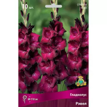 Гладиолус крупноцветковый Рэвел (10 шт.)