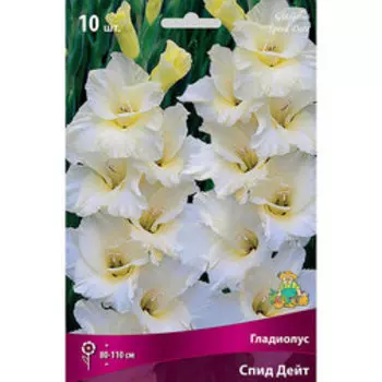 Гладиолус крупноцветковый Спид Дейт (10шт)