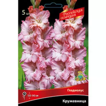 Гладиолус Кружевница (5 шт.)