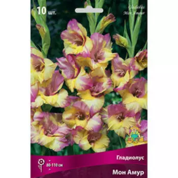 Гладиолус Мон Амур (10шт)