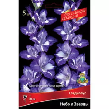 Гладиолус Небо и Звезды (5шт)