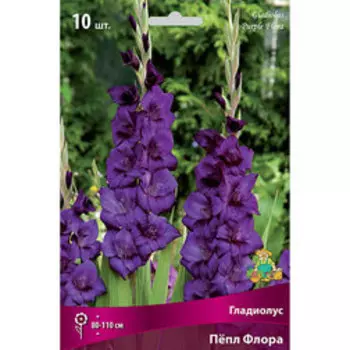 Гладиолус Пепл Флора (10шт)