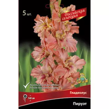 Гладиолус Пируэт