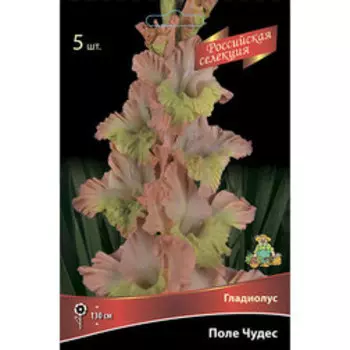 Гладиолус Поле Чудес (5шт)