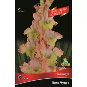 Гладиолус Поле Чудес (5шт.)
