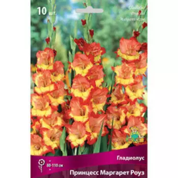 Гладиолус Принцесс Маргарет Роуз (10шт)