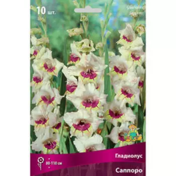 Гладиолус Саппоро (10шт)