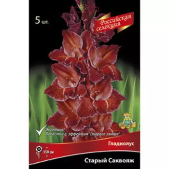 Гладиолус Старый саквояж (5шт)