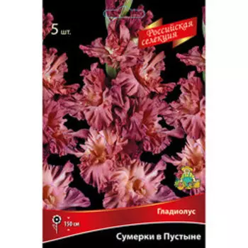 Гладиолус Сумерки в Пустыне