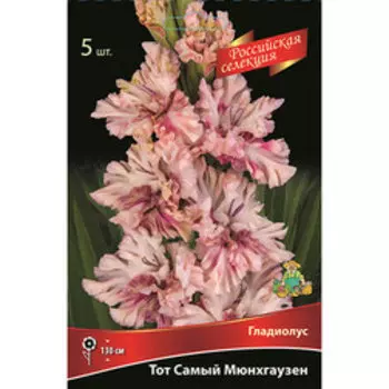 Гладиолус Тот Самый Мюнхгаузен (5 шт.)