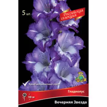 Гладиолус Вечерняя Звезда (5 шт.)