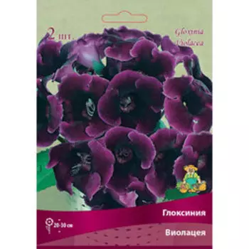 Глоксиния Виоляция (2шт)