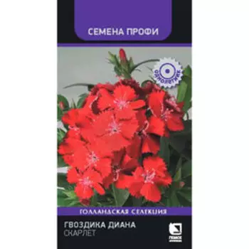 Гвоздика Диана Скарлет (Семена Профи)