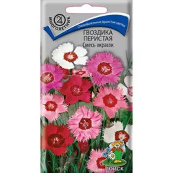 Гвоздика перистая Смесь окрасок