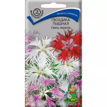 Гвоздика пышная Смесь окрасок