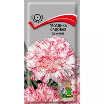 Гвоздика садовая Баэнигна