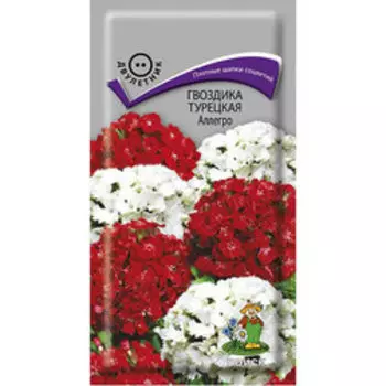Гвоздика Турецкая Аллегро