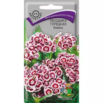 Гвоздика Турецкая Княжна