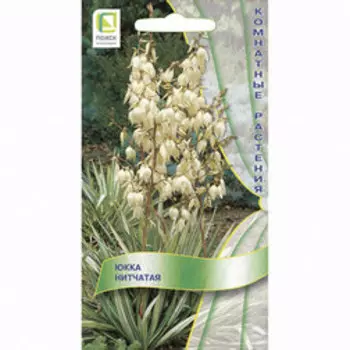 Юкка нитчатая