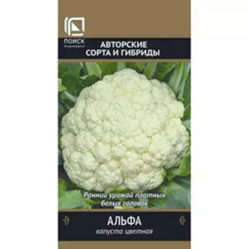 Капуста цветная Альфа