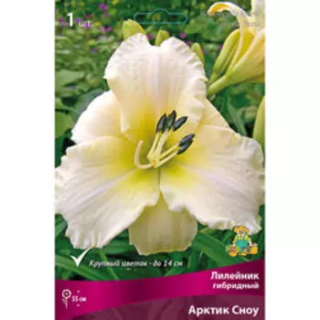 Лилейник гибридный Арктик Сноу