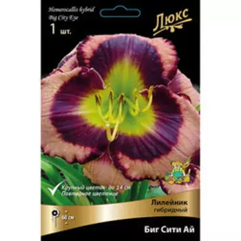 Лилейник гибридный Биг Сити Ай *