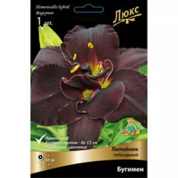 Лилейник гибридный Бугимен *