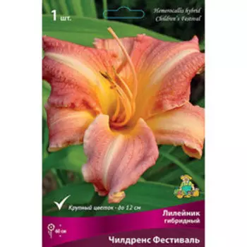 Лилейник гибридный (Чилдренс Фестиваль)