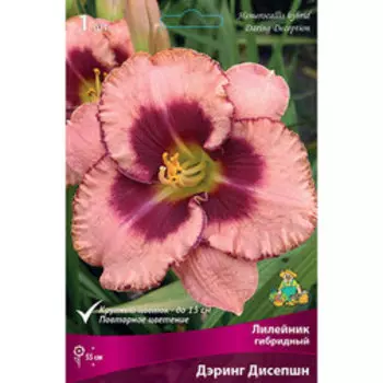 Лилейник гибридный (Дэринг Дисепшн)