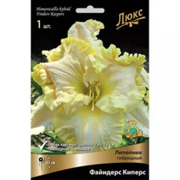 Лилейник гибридный Файндерс Киперс