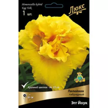 Лилейник гибридный Эгг Йоук *