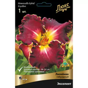 Лилейник гибридный Экселент*