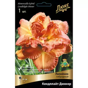 Лилейник гибридный Кендллайт Диннер