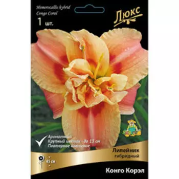 Лилейник гибридный Конго Корэл