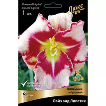 Лилейник гибридный Лайз энд Липстик