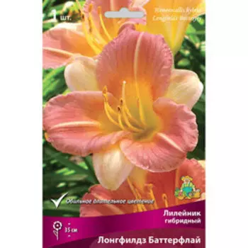 Лилейник гибридный Лонгфилдз Баттерфлай
