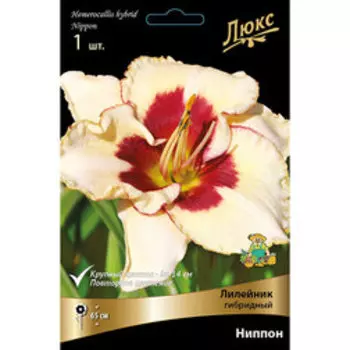 Лилейник гибридный Ниппон *