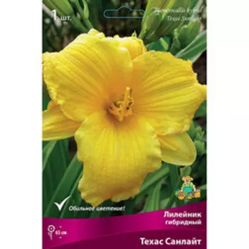 Лилейник гибридный Техас Санлайт