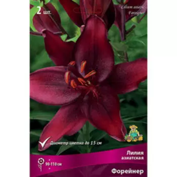 Лилия Азиатская Форейнер (2 шт.)