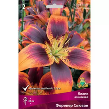 Лилия Азиатская Форевер Сьюзан (2 шт.)