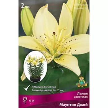 Лилия Азиатская горшечная Маунтин Джой (2 шт.)
