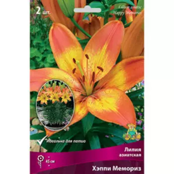 Лилия Азиатская Хэппи Мемориз (2 шт.)