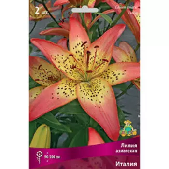 Лилия Азиатская Италия (2 шт.)