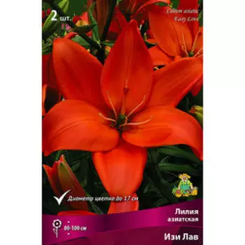 Лилия Азиатская Изи Лав (2 шт.)
