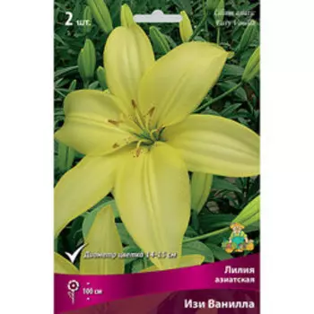 Лилия Азиатская Изи Ванила (2 шт.)