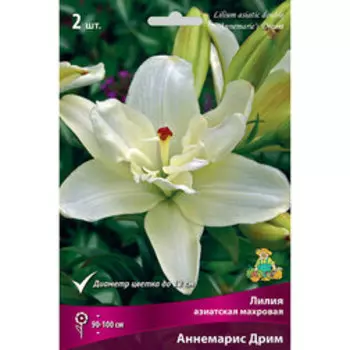 Лилия Азиатская махровая Аннемарис Дрим (2шт.)