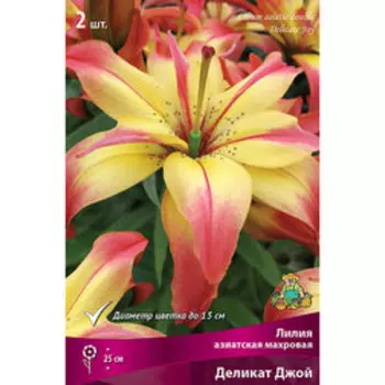 Лилия Азиатская махровая Деликат Джой (2 шт.)